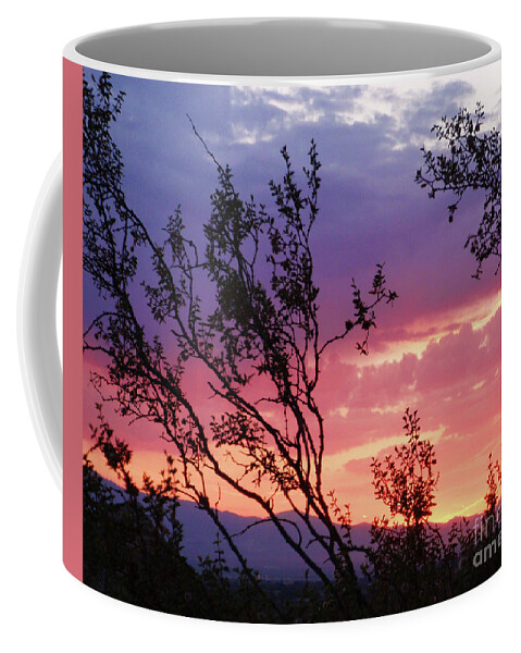 Nature Coffee Mug featuring the photograph Creosote Sky by Suzette Kallen