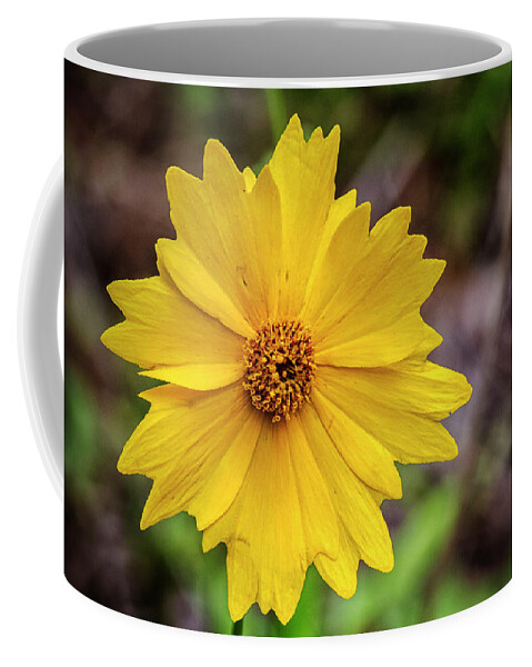 Flower Coffee Mug featuring the photograph Croatan Forest Lanceleaf Coreopsis by Bob Decker