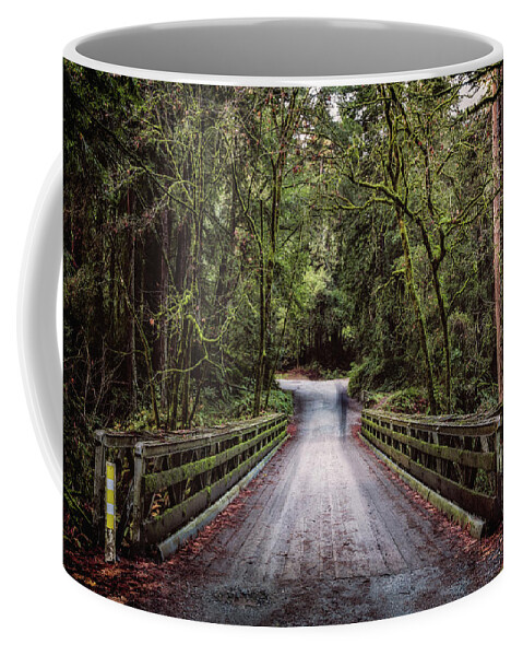 California Coffee Mug featuring the photograph Crossing to the Other Side by Laura Roberts