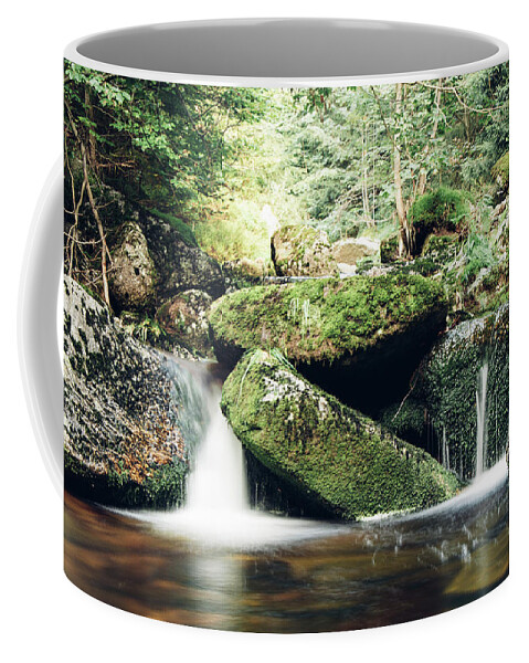 Jizera Mountains Coffee Mug featuring the photograph Crystal clear mountain water rushes to the surface by Vaclav Sonnek