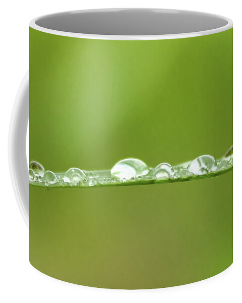 Grass Coffee Mug featuring the photograph Crystal Drops by Lens Art Photography By Larry Trager