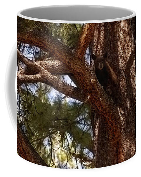 Wildlife Coffee Mug featuring the photograph cub in El Dorado National Forest, California, U.S.A. by PROMedias US