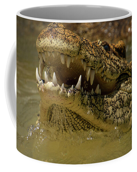 Cuban Coffee Mug featuring the photograph Cuban Crocodile Smile by Carolyn Hutchins