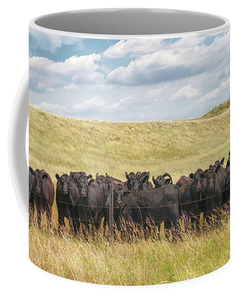 Nebraska Sandhills Coffee Mug featuring the photograph Curious Cattle - Sandhills Journey by Susan Rissi Tregoning