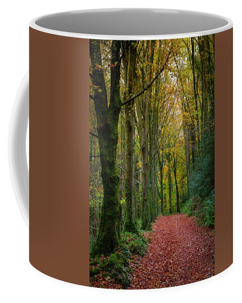 Stone Arch Coffee Mug featuring the photograph Curraghchase walkways by Mark Callanan