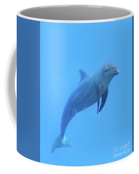 Canada Coffee Mug featuring the photograph Cute Dolphin by Mary Mikawoz