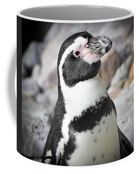 Penguin Coffee Mug featuring the photograph Cute Penguin by Michelle Wittensoldner