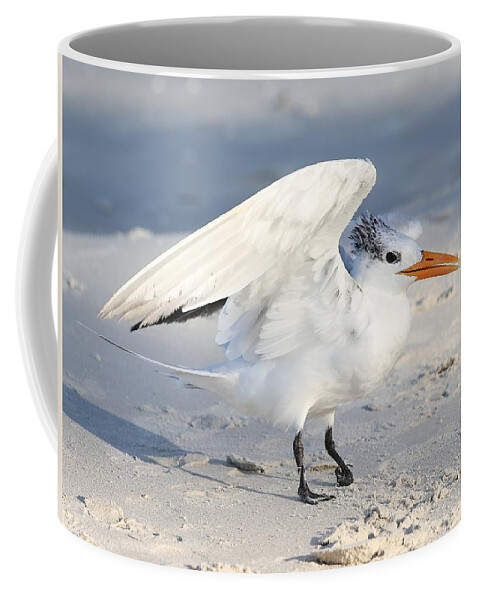 Royal Terns Coffee Mug featuring the photograph Cute Royal Tern by Mingming Jiang