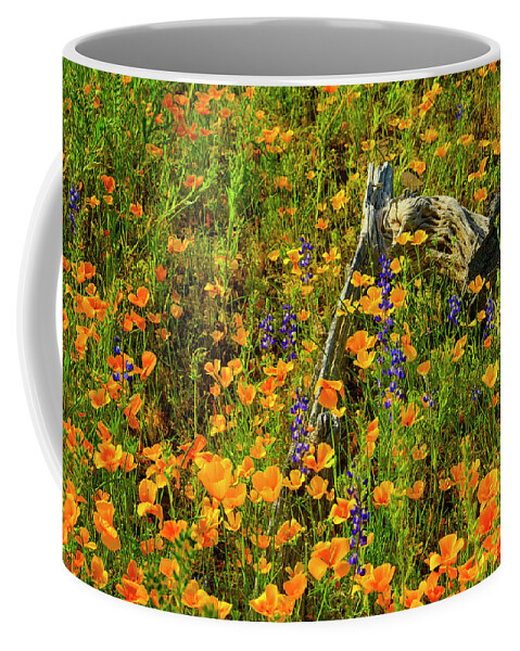 Arizona Coffee Mug featuring the photograph Cycle of Life 25052 by Mark Myhaver