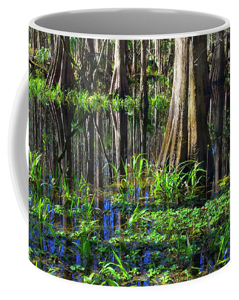 Swamp Coffee Mug featuring the photograph Cypress Reflections - Cypress trees rise in the swamp waters of southern Florida by Kenneth Lane Smith