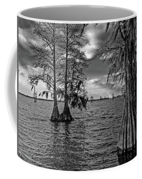 Fall Coffee Mug featuring the photograph Cypress Trees at Pinopolis Point by Louis Dallara