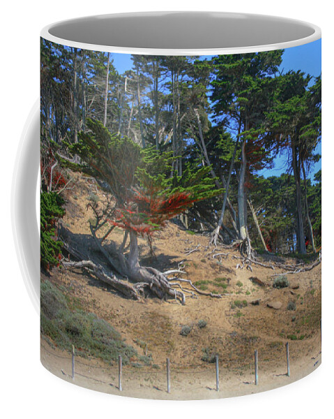 Cypress Coffee Mug featuring the photograph Cypress Trees by Sally Bauer