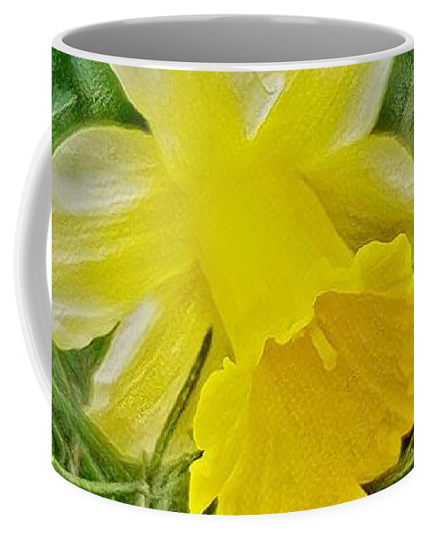 Daffodil Coffee Mug featuring the digital art Daffodil And Rosemary by Rachel Hannah