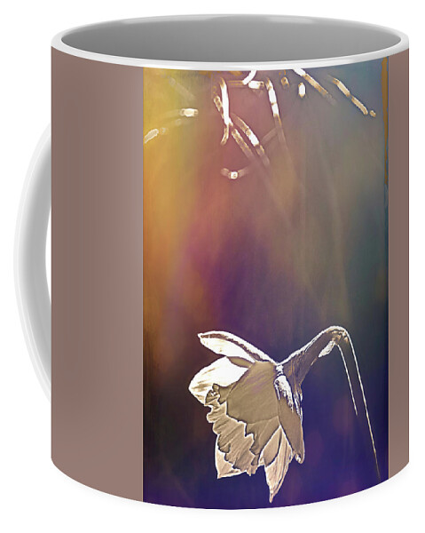 Flower Coffee Mug featuring the photograph Daffodils 2 by Pamela Cooper