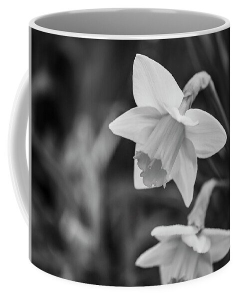 Narcissus Coffee Mug featuring the photograph Daffodils Horizontal by Todd Bannor