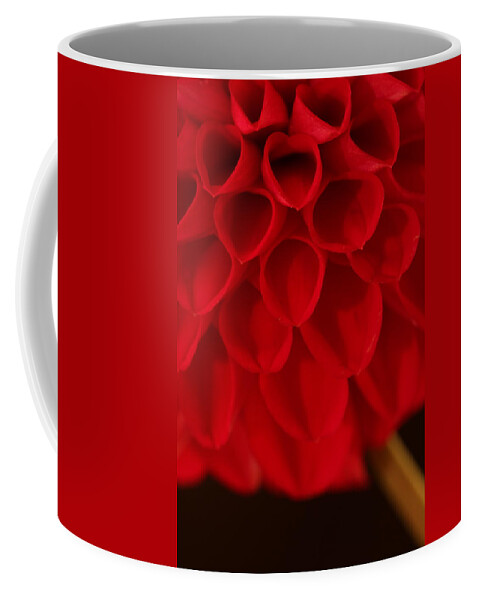 Flower Coffee Mug featuring the photograph Dahlia 4384 by Julie Powell