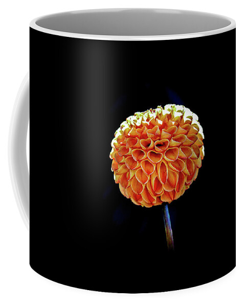 Flower Coffee Mug featuring the photograph Dahlia by Anamar Pictures