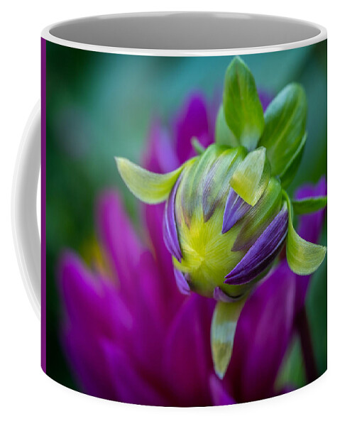Dahlia Coffee Mug featuring the photograph Dahlia Masterpiece by Roberta Kayne