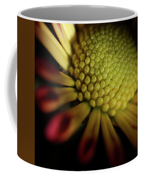 Macro Coffee Mug featuring the photograph Daisy 6043 by Julie Powell