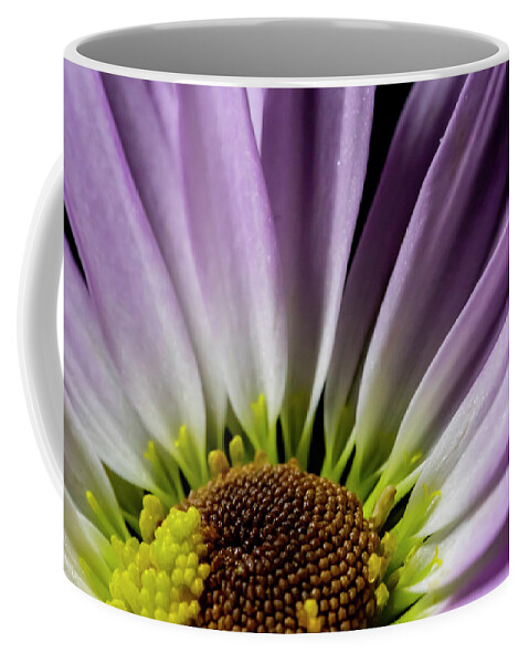 Purple Coffee Mug featuring the photograph Daisy Macro by Cathy Kovarik