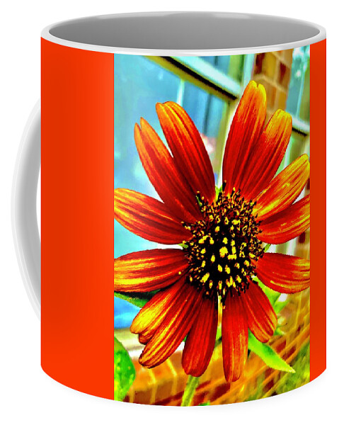 Sunflower Coffee Mug featuring the photograph Daisy the Sunflower by Toni Hopper