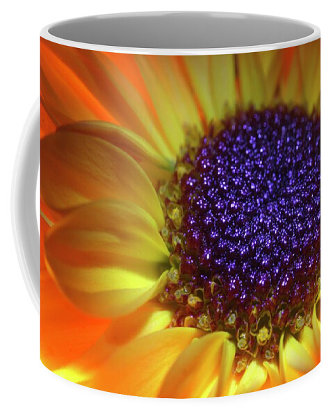 Daisy Coffee Mug featuring the photograph Daisy Yellow Orange by Julie Powell