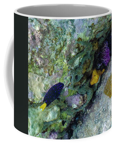 Ocean Coffee Mug featuring the photograph Damsel, No Distress by Lynne Browne