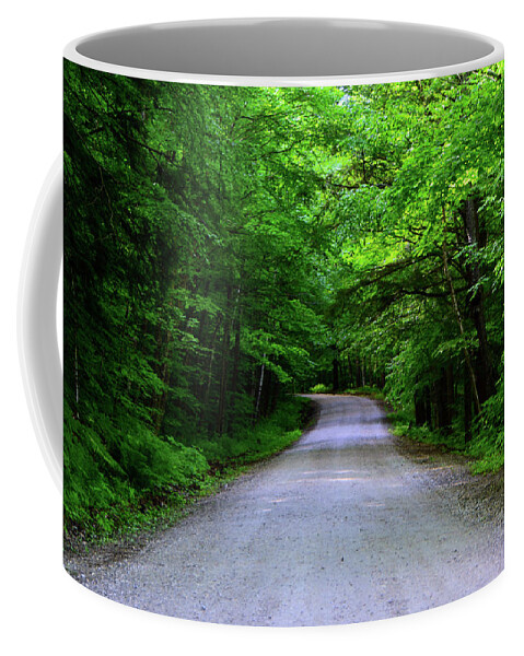 Danby-langrove Road Coffee Mug featuring the photograph Danby-Langrove Road USFS 10 by Raymond Salani III