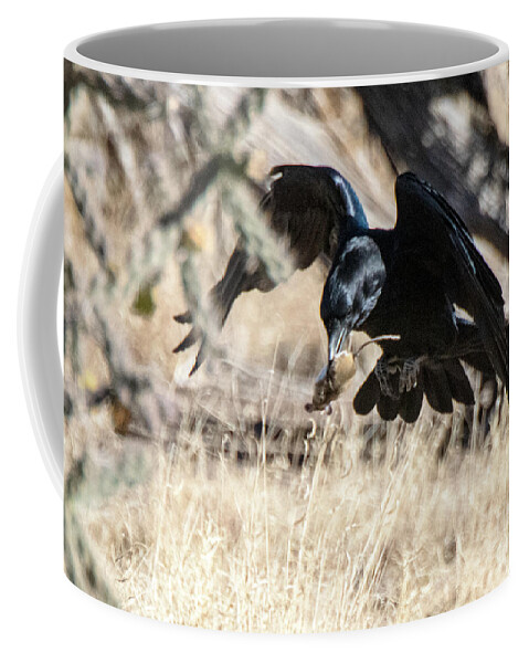 Natanson Coffee Mug featuring the photograph Dances with Mouse by Steven Natanson