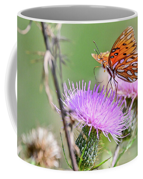 Orange Coffee Mug featuring the photograph Dancing Butterfly by Ed Stokes
