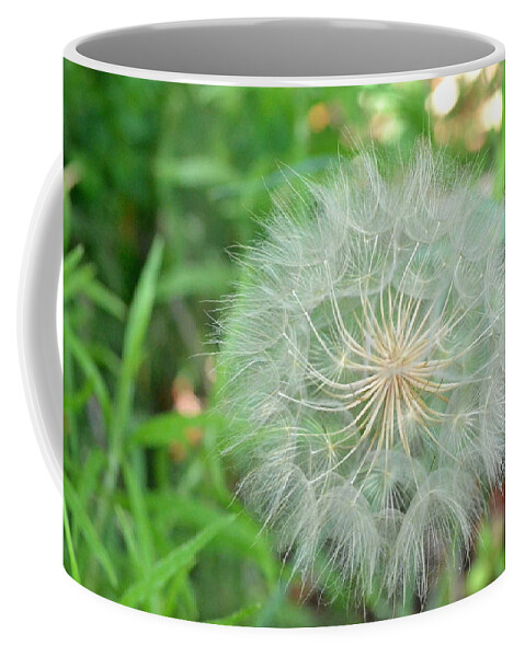 Nature Coffee Mug featuring the photograph Dandelion 4 by Amy Fose