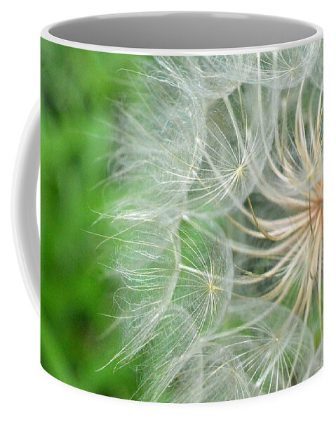 Nature Coffee Mug featuring the photograph Dandelion 5 by Amy Fose