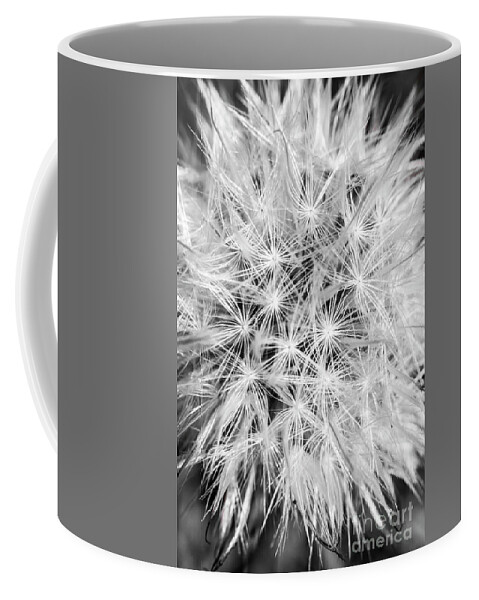 Flower Coffee Mug featuring the photograph Dandelion details by Jorgo Photography