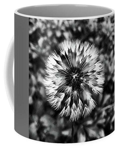 Flowers Coffee Mug featuring the photograph Dandelion In Black And White by Jim Feldman