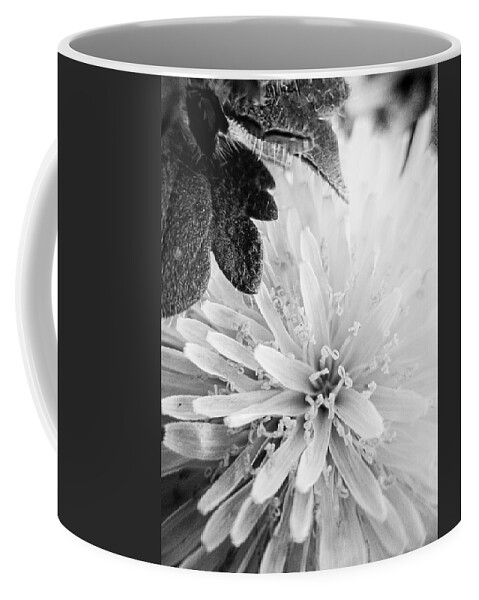 Taraxacum Coffee Mug featuring the photograph Dandelion with Leaf by W Craig Photography