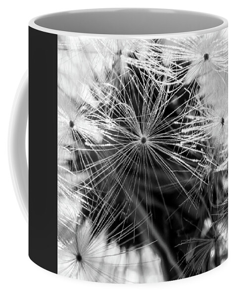 Plants Coffee Mug featuring the photograph Dandelions Clock by Louis Dallara