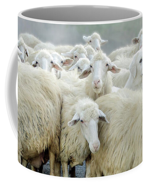 Drôle Coffee Mug featuring the photograph Dare to be Different by Louise Tanguay