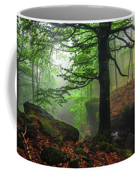 Fog Coffee Mug featuring the photograph Dark Forest by Evgeni Dinev