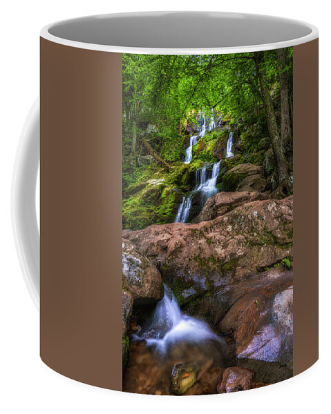 Dark Hollow Falls Coffee Mug featuring the photograph Dark Hollow Falls 2 by Mark Papke