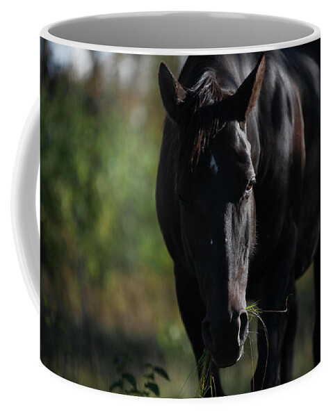 Black Horse Coffee Mug featuring the photograph Dark Peace by Listen To Your Horse