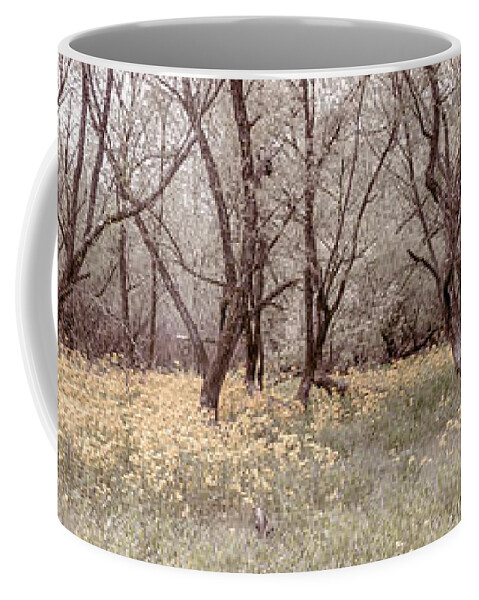 Carolina Coffee Mug featuring the photograph Dark Trees Pale Light Panorama by Debra and Dave Vanderlaan