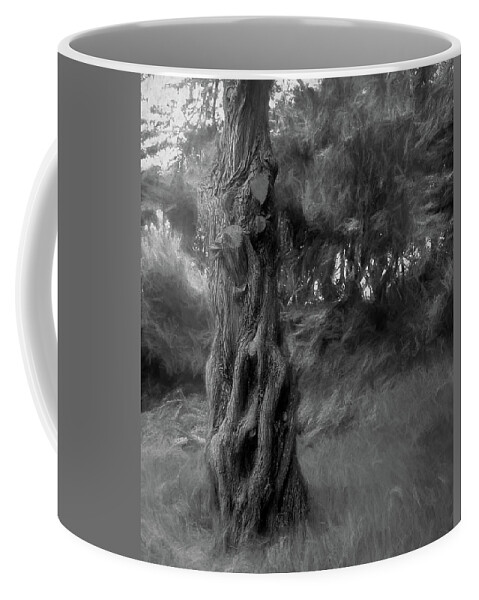 Tree Coffee Mug featuring the photograph Dark Wind in the Cedars by Wayne King