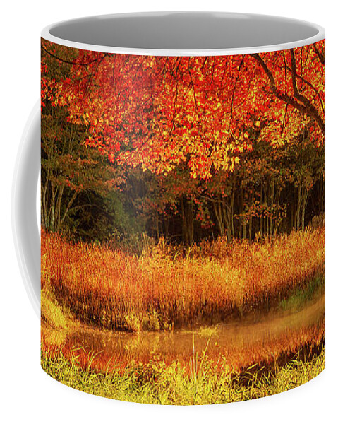 Rhode Island Fall Foliage Coffee Mug featuring the photograph Dawn lighting Rhode Island fall colors by Jeff Folger