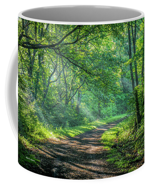 Creeper Trail Coffee Mug featuring the photograph Day Beams by Dale R Carlson