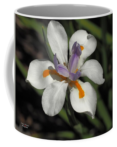 Botanical Coffee Mug featuring the photograph Day Lily Unfurled by Richard Thomas