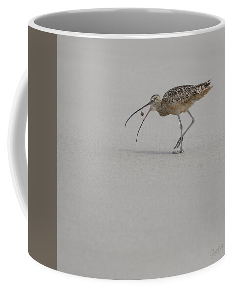 Animals Coffee Mug featuring the photograph Death of a Sand Crab by James Covello