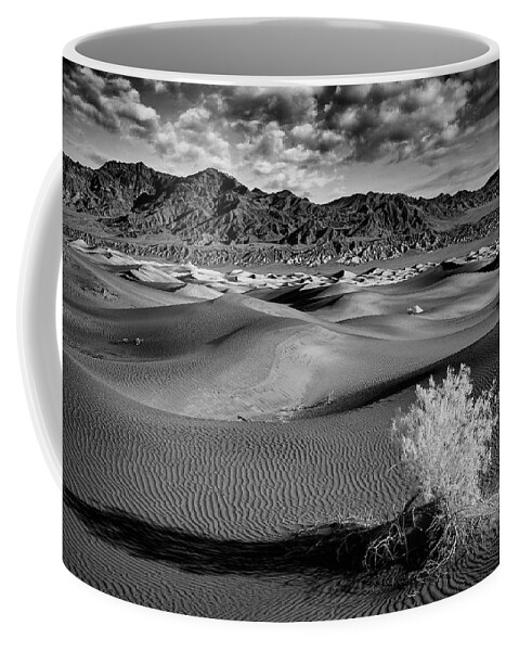 Landscape Coffee Mug featuring the photograph Death Valley Shrub by Jon Glaser