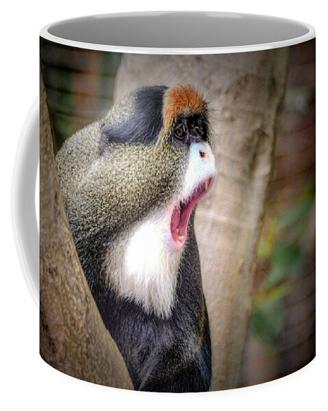 Debrazza Coffee Mug featuring the photograph DeBrazza Monkey by Debra Kewley
