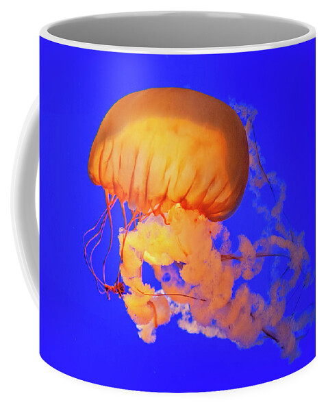 Jellyfish Coffee Mug featuring the photograph Deep Blue Sea Nettle 2 by Jill Love
