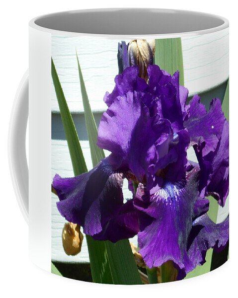 Flower Coffee Mug featuring the photograph Deep Purple Iris by Barbara Keith